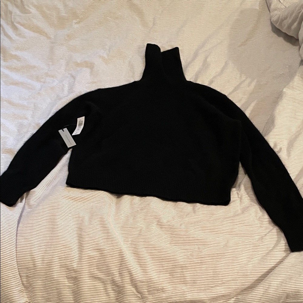 Aritzia Babaton Becca Cashmere Turtleneck